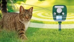 Dierenverjager Solar Pro 150 M² Met Flitslicht Swissinno 7 Dierenverjager Solar Pro 150 M² Met Flitslicht Swissinno -Ongedierte - Plagen Winkel csmultraschall tiervertreiber pro stimmungsbildbcc9b83749