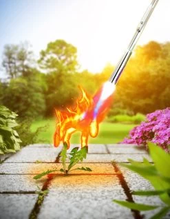 Onkruidbrander Gloria Bio Comfort 16 Onkruidbrander Gloria Bio Comfort -Ongedierte - Plagen Winkel sw18wp 0