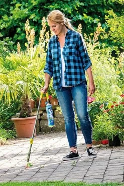 Onkruidbrander Gloria Classic Bio -Ongedierte - Plagen Winkel thermoflamm bio classic plus 2