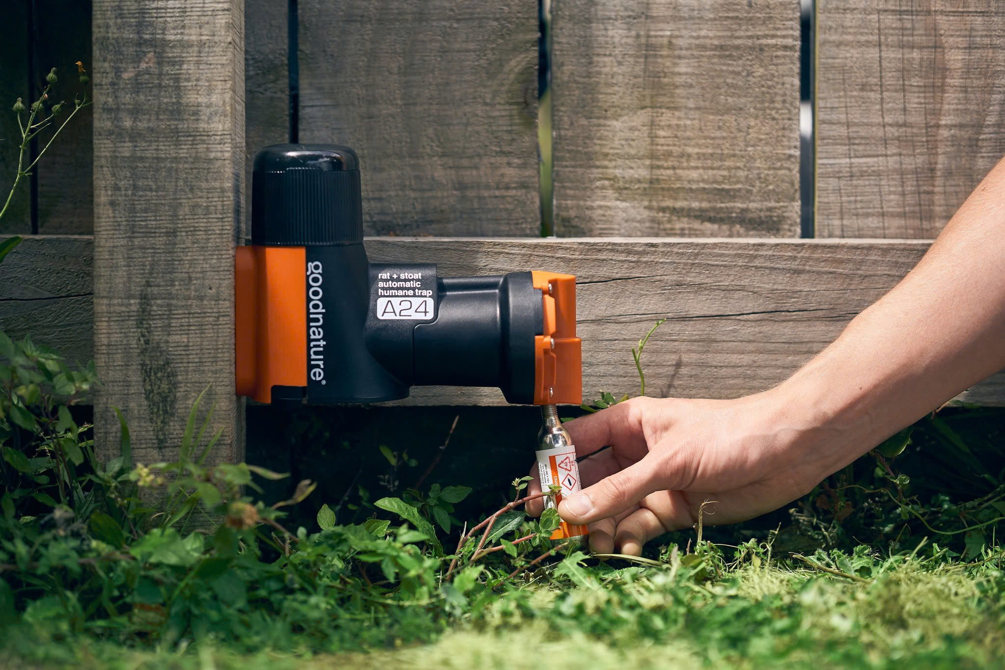 Ongedierte - Plagen Winkel -Ongedierte - Plagen Winkel z6443421263121 75280d7e670a738c5423d47f8b94e675