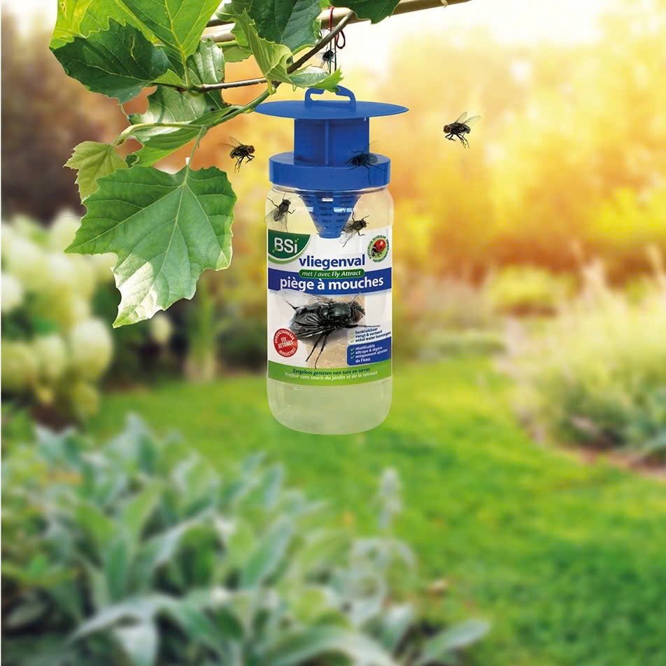 Ongedierte - Plagen Winkel -Ongedierte - Plagen Winkel z6444133753627 a2e0bf1a9d4c119cc078a686c824b43d