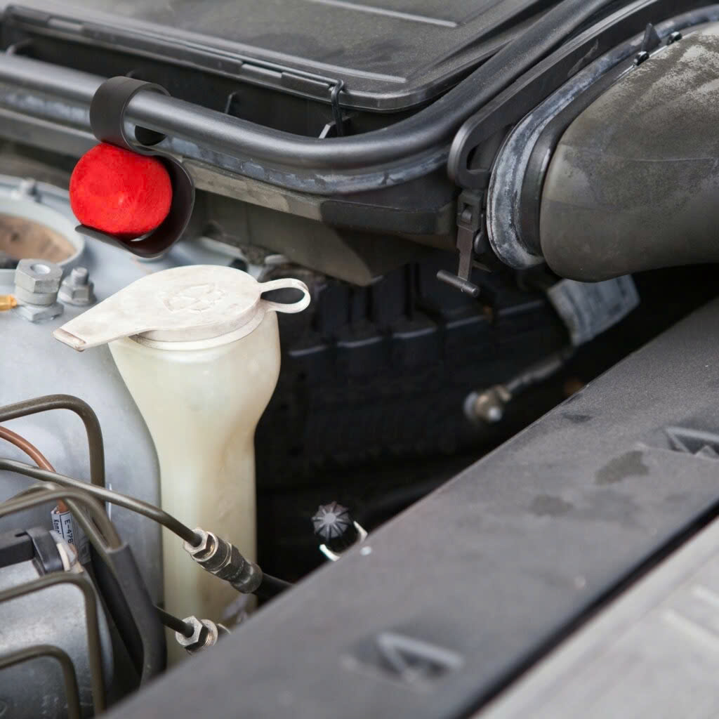 Ongedierte - Plagen Winkel -Ongedierte - Plagen Winkel z6444133753628 8d30e6909a03d7dedefe78a84800a78e